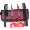 Kit Tijeras Profesionales Estilista Barbero Peluquero Purple Dragon 5.5 pulgadas