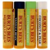 Burt's Bees Burt’s Beeswax Bounty Assorted Mix Lip Balm Holiday