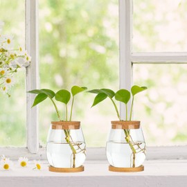 CUSNESTAL Plants Propagation Station Terrarium Glass Planter Vase Clear Plant Cuttings Holder with Wooden Lid and Bamboo Stand for Growing Hydroponic Plants Home Office Desktop Decoration