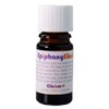 Living Libations - Organic Epiphany Elixir (5 ml)
