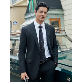 HISDERN Men's Ties Animal Pattern Tie Pocket Square Wedding Business Tie & Pocket Square Set, Navy/Owl, One size fits all