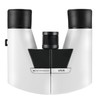 Eschenbach Viva 6 x 15 Binocular - White