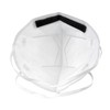 Honeywell Safety DF300 H910P N95 Flatfold Disposable Respirator - Box