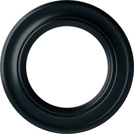 Ekena Millwork CM20HONSF Holmdel Ceiling Medallion, 20 7/8"OD x 12 7/8"ID x 1"P, Hand-Painted Night Shade