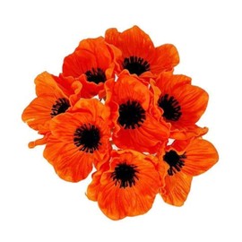 Floral Kingdom 10" Artificial Flowers - Real Touch Latex Anemone Poppy 8 Pack for Wedding, Mother’s Day, Hotel/Home Decor (Orange)