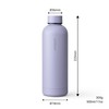 Vinsun Drinking Bottle Stainless Steel Purple 500 ml – Double-Walled