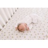 Premium Fitted Knit Crib Sheet/Toddler Sheet"Chip" by Copper Pearl