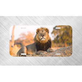 yorkrite357 New Lion Leon Africa Safari Alpha male License Plate Auto Car Tag FREE SHIP
