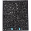 Bissell Replacement Carbon Filter for The Air400, 2520
