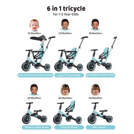 newyoo Tricycle for Toddlers 1-3, Toddler Bike, Birthday Gift and Toys for Girl and Boy, Push Trike with Handle and Canopy, 6 in 1 Baby Trike, Balance Bike, TR009, Blue