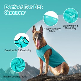 UNIPUP 2 Pack Cooling Shirts for Dogs, Lightweight Mesh Breathable Dog Clothes for Large Dogs Boy Girl,Sports Fan Pet T-Shirts for Dog&Cat Puppy Vest Pet Apparel - XXL