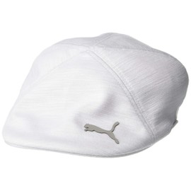PUMA Golf 2019 Men's Driver Cap (Quarry, S/M)