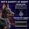TECEUM Reflective Pet Collar – Black – S – Basic
