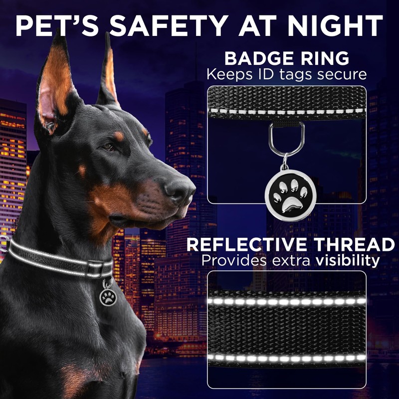 TECEUM Reflective Pet Collar – Black – S – Basic
