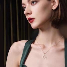 YAFEINI Phoenix Necklace S925 Sterling Silver Crystal Cubic Zirconia Phoenix Pendant Jewellry Gifts for Women Girls (Phoenix-2)