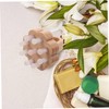 SAFIGLE Handheld Quartz Massage Comb for Ergonomic Manual Scalp for