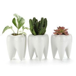 T4U Succulent Pot Ceramic Tooth Shape White Set of 3 Mini Planters for Cacti Flower Pot for Garden Office Desk Decoration Pen Holder Creative Gift for Birthday Wedding Christmas