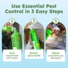 BugMD Essential Pest Control Concentrate – Natural Ant, Roach, Spider