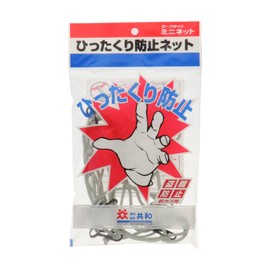 Republic of (Ted) Front Cage Mini Net White Small