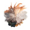 Kingsie 180 Pieces Natural Feather Set of 6 Feathers Feathers