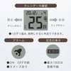 Adesso Digital Daily Calendar, Radio Controlled Clock, Temperature and Humidity