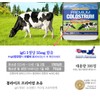 Colostrum Premium Colostrum igG Chewable 300 Tablets / 콜로스트럼 프리미엄
