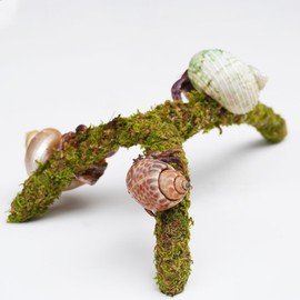 Jinymral Hermit Crab Climbing Toys, Adjustable Hermit Crab Supplies, Hermit Crab Habitat Tank Accessories