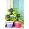 American Metalcraft TAGRECTANGLE5 Chalkboard, Silhouette, Mini, Rectangle, 5-pack, Black
