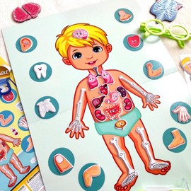TAKTIK 3D Fun Stickers - The Human Body, 3D Stickers for Children, Double-Sided Background + 61 Pieces, 3D Puffy Stickers, Story Set with Stickers