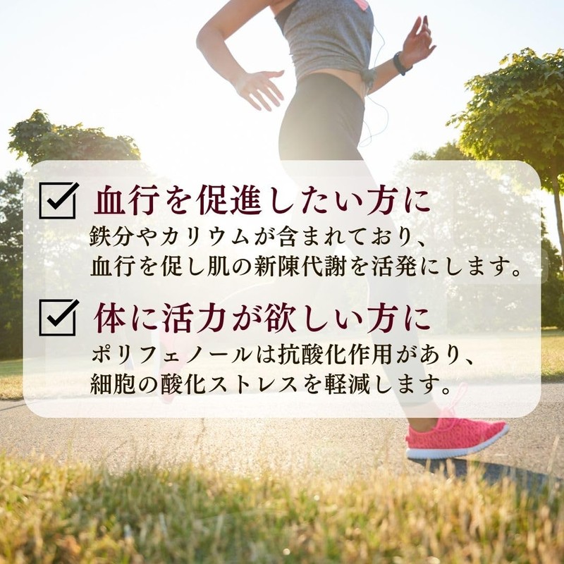 岡山県産 有機JAS 有機 菊芋 を100%使用 菊芋パウダー 100g 農家直送 無農薬 無添加