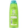 Garnier Fructis Fortifying SHampoo, Hydra Recharge for All Hair Types