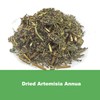 Natural Artemisia Annua, Dried Sweet Wormwood, Herbal Loose Leaves (4.0