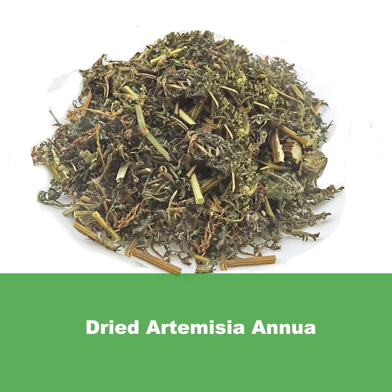 Natural Artemisia Annua, Dried Sweet Wormwood, Herbal Loose Leaves (4.0