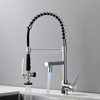 Fapully Kitchen Faucet with Pull Down Sprayer,Commercial Single Handle Kitchen