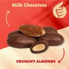 Milk Chocolate Covered Almonds 2-Pound Bag | Classic Chocolate Covered