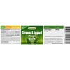 Green-lipped Mussel, 500 mg, high-dose Extract, 120 Capsules - Without