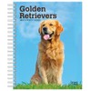 Golden Retrievers | 2023 6 x 7.75 Inch Spiral-Bound Wire-O