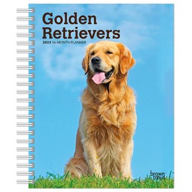 Golden Retrievers | 2023 6 x 7.75 Inch Spiral-Bound Wire-O Weekly Engagement Planner Calendar | New Full-Color Image Every Week | BrownTrout | Animals Dog Breeds Pets