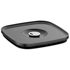 WMF Depot Lid, Stainless Steel Silver, 19.5 x 19.5 x 2.5 cm