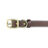 Cango Collar para Perro de Piel Hecho a Mano 100%