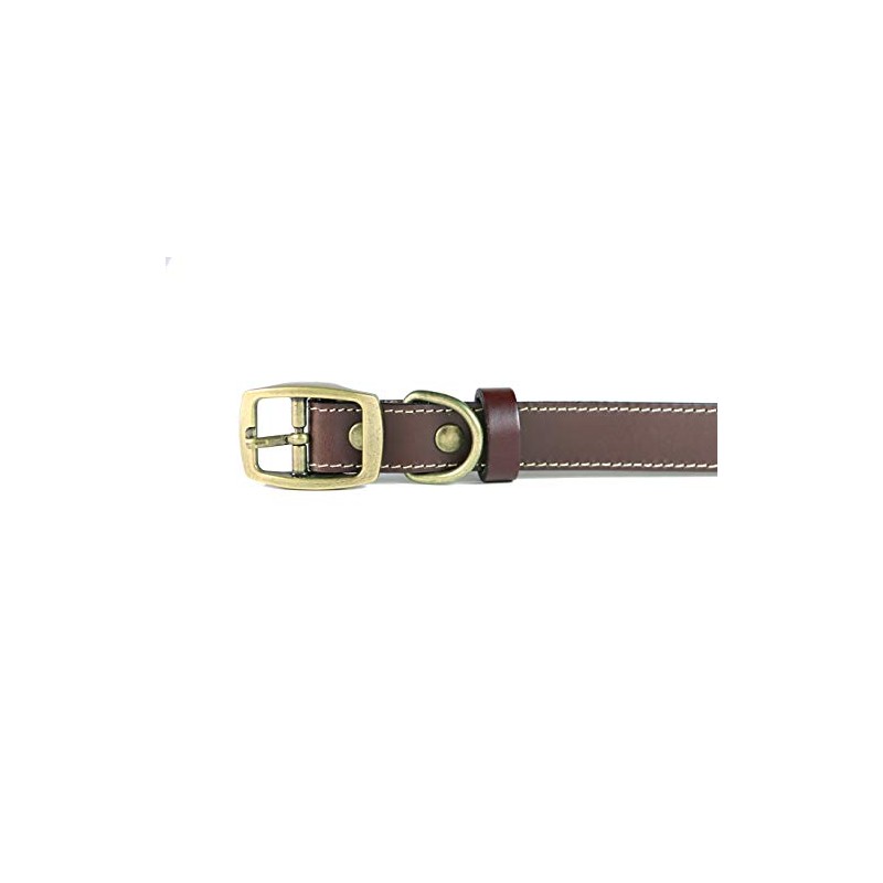 Cango Collar para Perro de Piel Hecho a Mano 100%