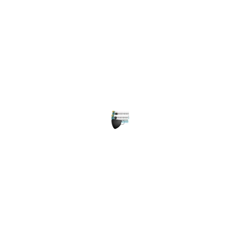 Rivens 에버뉴크린 새부리형 황사방역마스크(KF94)(블랙/대형) 100입 Evernew Clean Beak-Type Yellow Dust