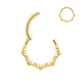 PIERCINGBOY 1Pcs 16G 10mm Titanium Nose Rings Gold Flower Hinged Septum Ring 16 Gauge Daith Hoop Earring Stacked Septum Rook Clicker Piercing, Titanium, no gemstone