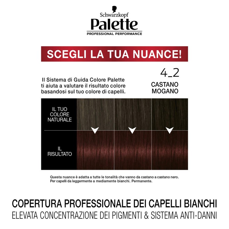 Colorazione Professional Performance 4_2 Castano Mogano Palette