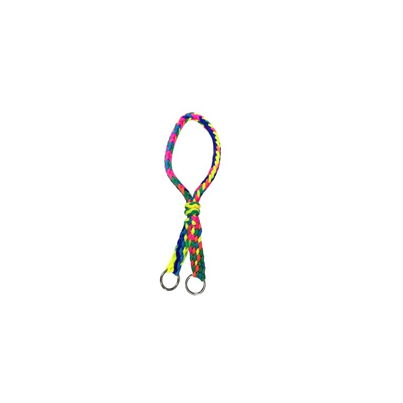 Indian War Bridle rainbow