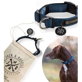 Jack & Russell Balu Neoprene Padded Dog Collar Various Sizes and Colours (Neck Circumference M (35-43 cm), Blue)