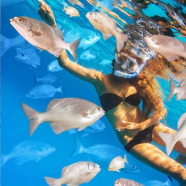 TUSA Sport Adult Platina Hyperdry Mask, Snorkel, Fins Travel Set