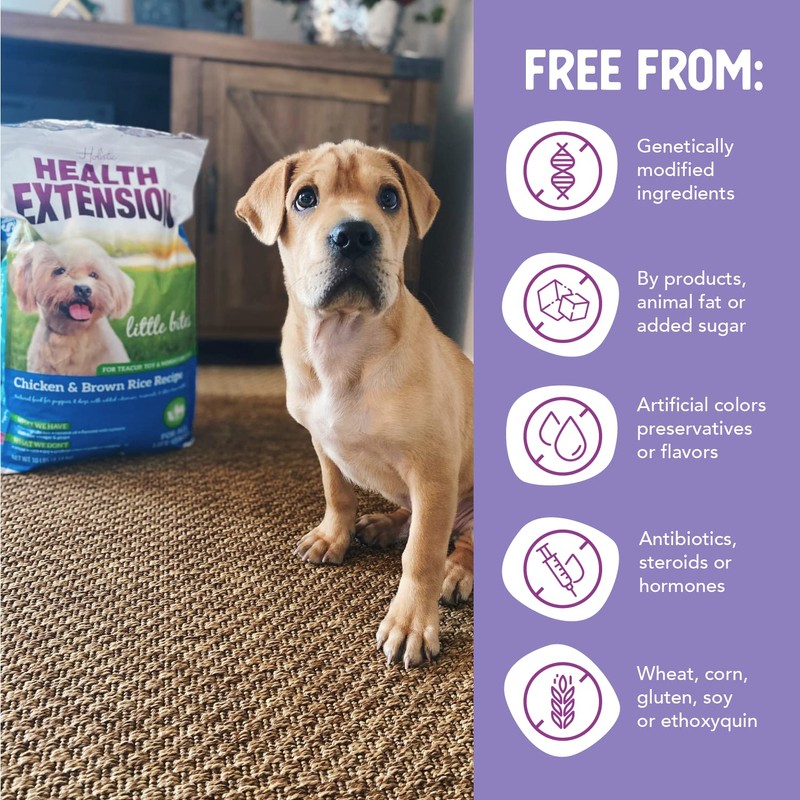 Health Extension Little Bites Dry Dog Food, Chicken & Brown