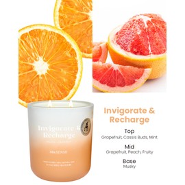 M&SENSE Orange Grapefruit Aromatherapy Candle for Invigoration and Recharging, 14.1oz 80 Hours Long Lasting Natural Soy Wax Non Toxic Candle for Bath Bedroom, Spiritual Healing Gifts for Housewarming