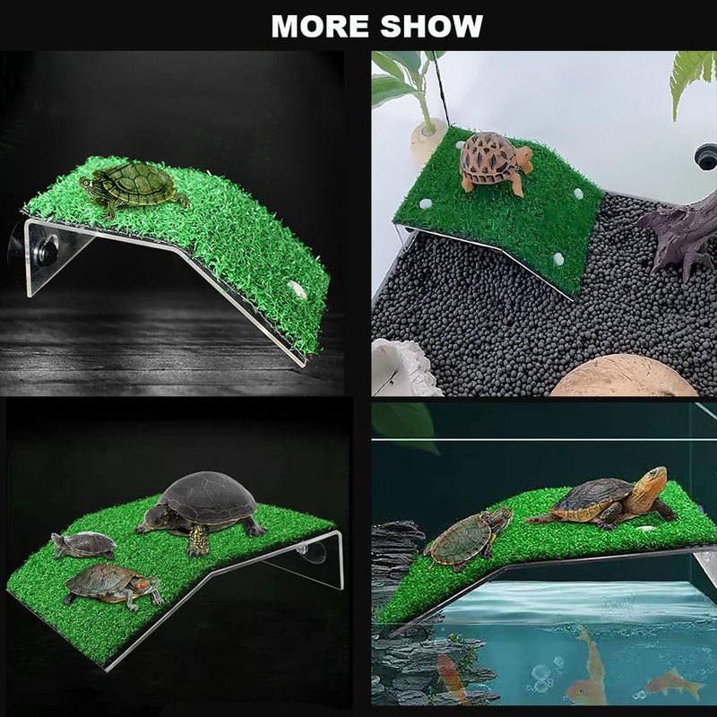 HOORayeah Turtle Sun Platform - 5.9 x 8.7 x 1.3